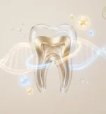 Dental-Regeneration-SCMC