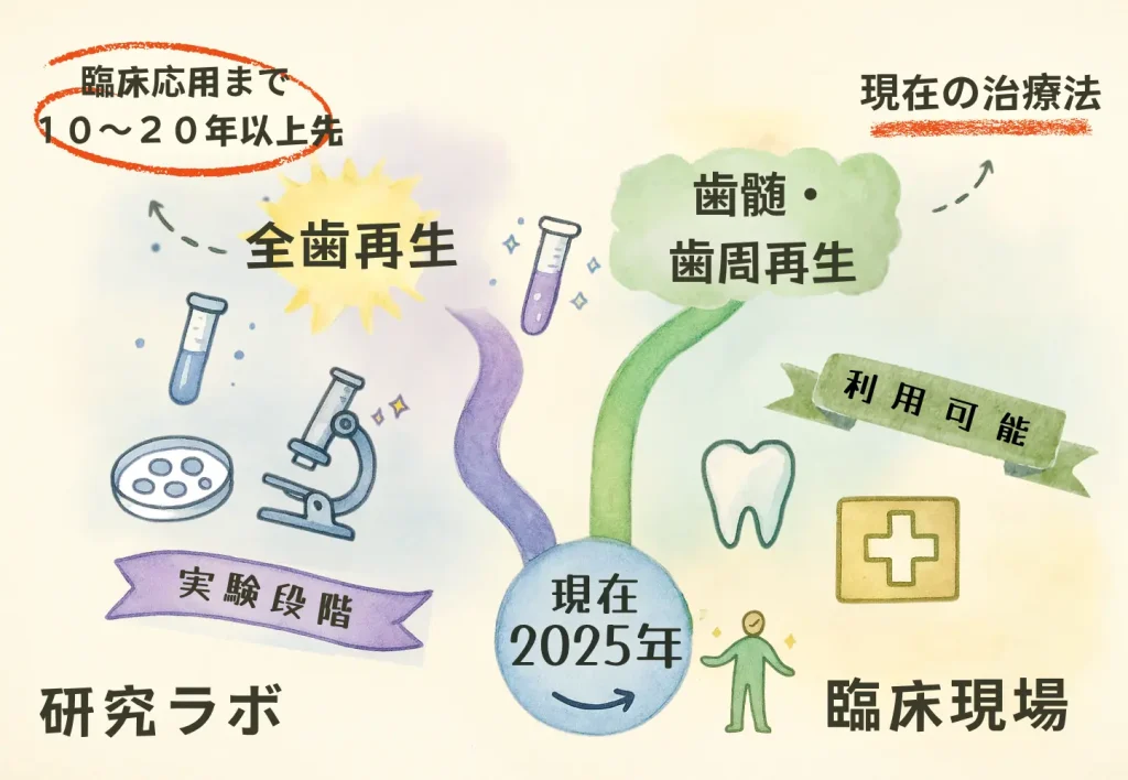 実験研究と現時点の臨床実用とのギャップを示す二分タイムライン。やわらかなイラスト調で、現在と未来の道筋を対比的に表現。