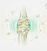 Rheumatoid-Arthritis-SCMC