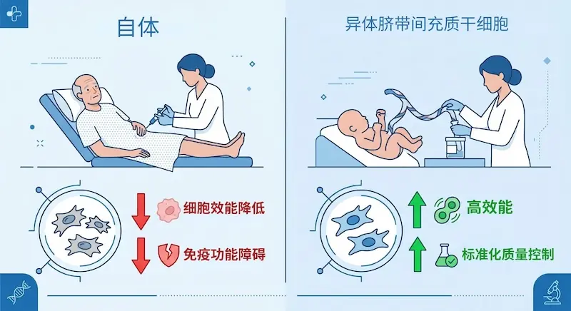 干眼症干细胞治疗的并排比较信息图显示,从患者骨髓中提取的自体细胞效力较低,而来自健康供体的异体脐带间充质干细胞(MSC)具有更高的免疫调节能力。