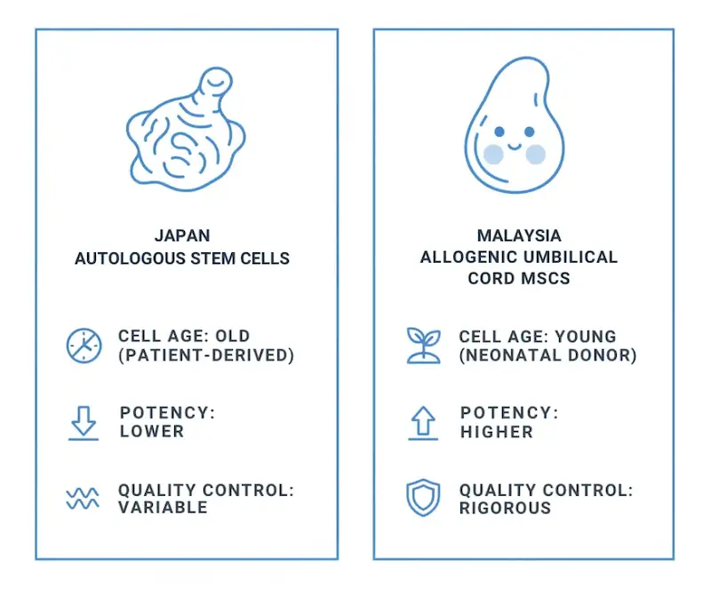 Side-by-side comparison of autologous stem cells in Japan versus allogeneic umbilical cord MSCs in Malaysia for chronic low back pain treatment, showing differences in cell age, potency, and quality control