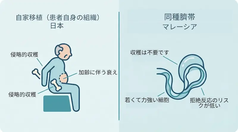 日本で使われる自家（自分の骨髄・脂肪由来）幹細胞と、マレーシアで使われる他家臍帯由来幹細胞を比較した変形性股関節症のインフォグラフィック
